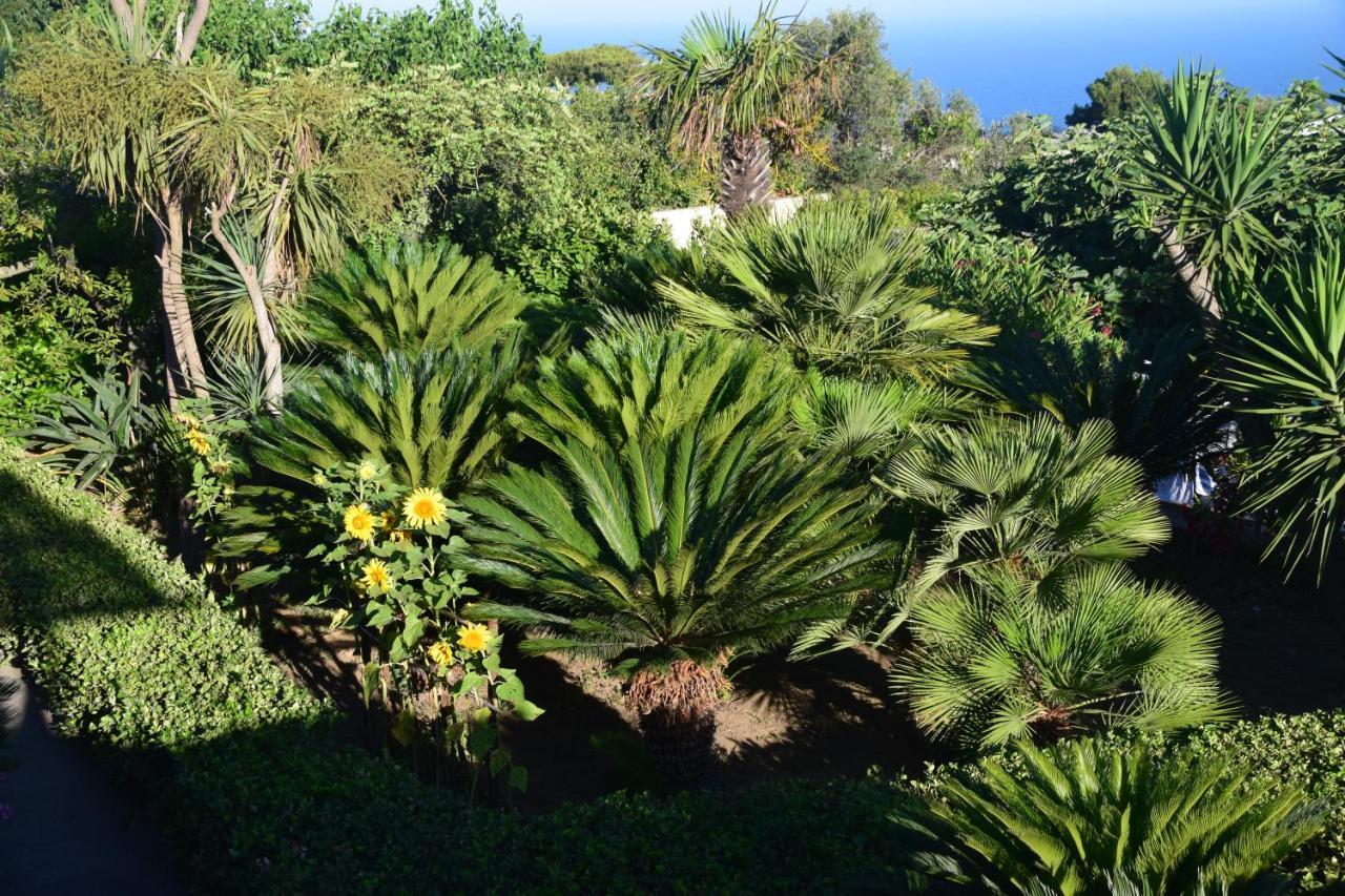 Oasi Di Villa Damecuta Anacapri  Eksteriør bilde